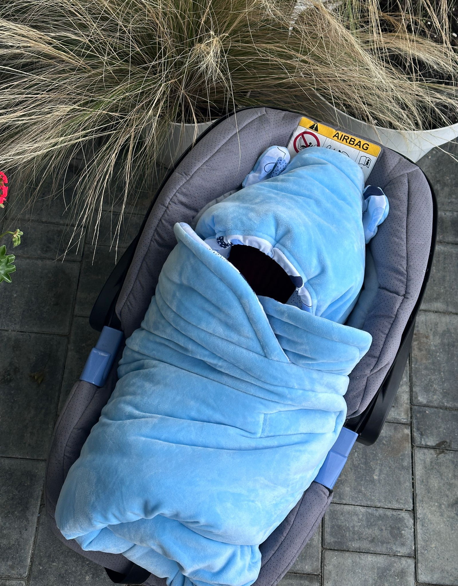 Otulacz wiosenny - obrazek 5